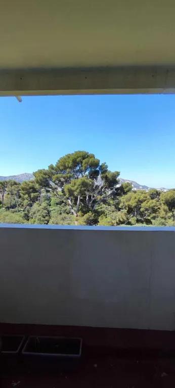 Proche Calanque Et Stade Velodrome Lumineux Et Confortable Marseille Ngoại thất bức ảnh